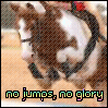 sign110.gif