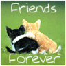 Skamu.com - The only place for Myspace icons, Orkut avatars, and profile codes