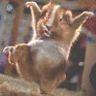 sign25.gif