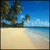 Skamu.com - The only place for Myspace icons, Orkut avatars, and profile codes