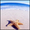 Skamu.com - The only place for Myspace icons, Orkut avatars, and profile codes