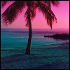 Skamu.com - The only place for Myspace icons, Orkut avatars, and profile codes