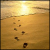 Skamu.com - The only place for Myspace icons, Orkut avatars, and profile codes