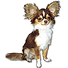 Skamu.com - The only place for Myspace icons, Orkut avatars, and profile codes