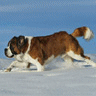 icon017.gif