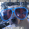 icon322.gif