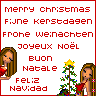 icon031.gif