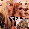 115.gif