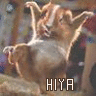 sign137.gif
