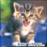 sign33.gif