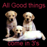 sign97.gif