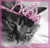 icon039.png